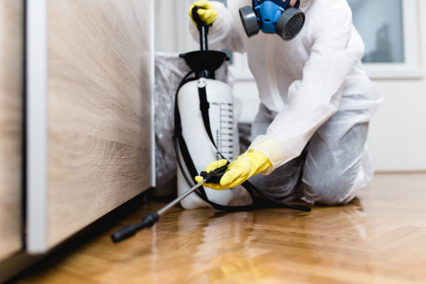 Best Insect Control  in Redby, MN