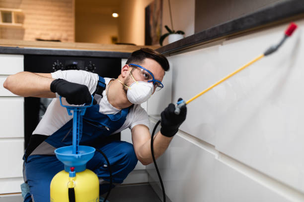 Best Exterminator Services  in Redby, MN