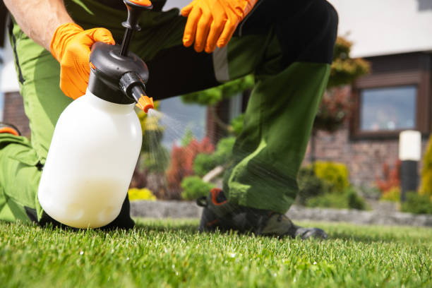 Best Flea Control Services  in Redby, MN