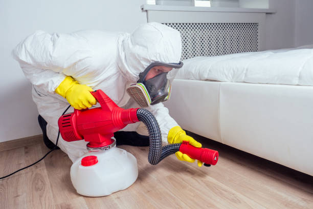 Best Pest Control Near Me  in Redby, MN