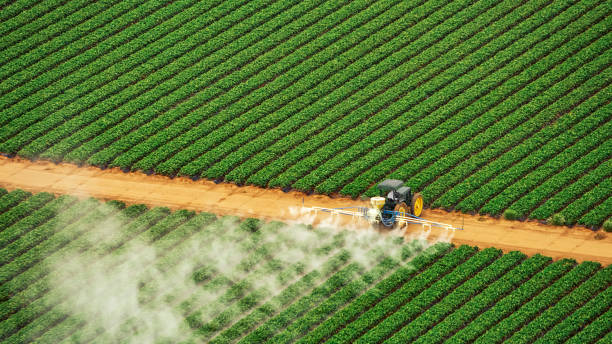 Best Mosquito Control Services  in Redby, MN